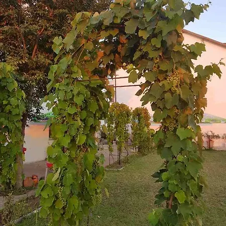 Hotel Rohi Tsarevo