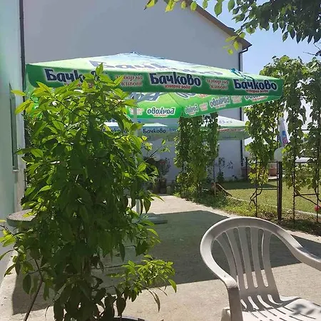 Hotel Rohi *