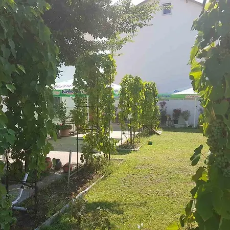 Rohi Hotel